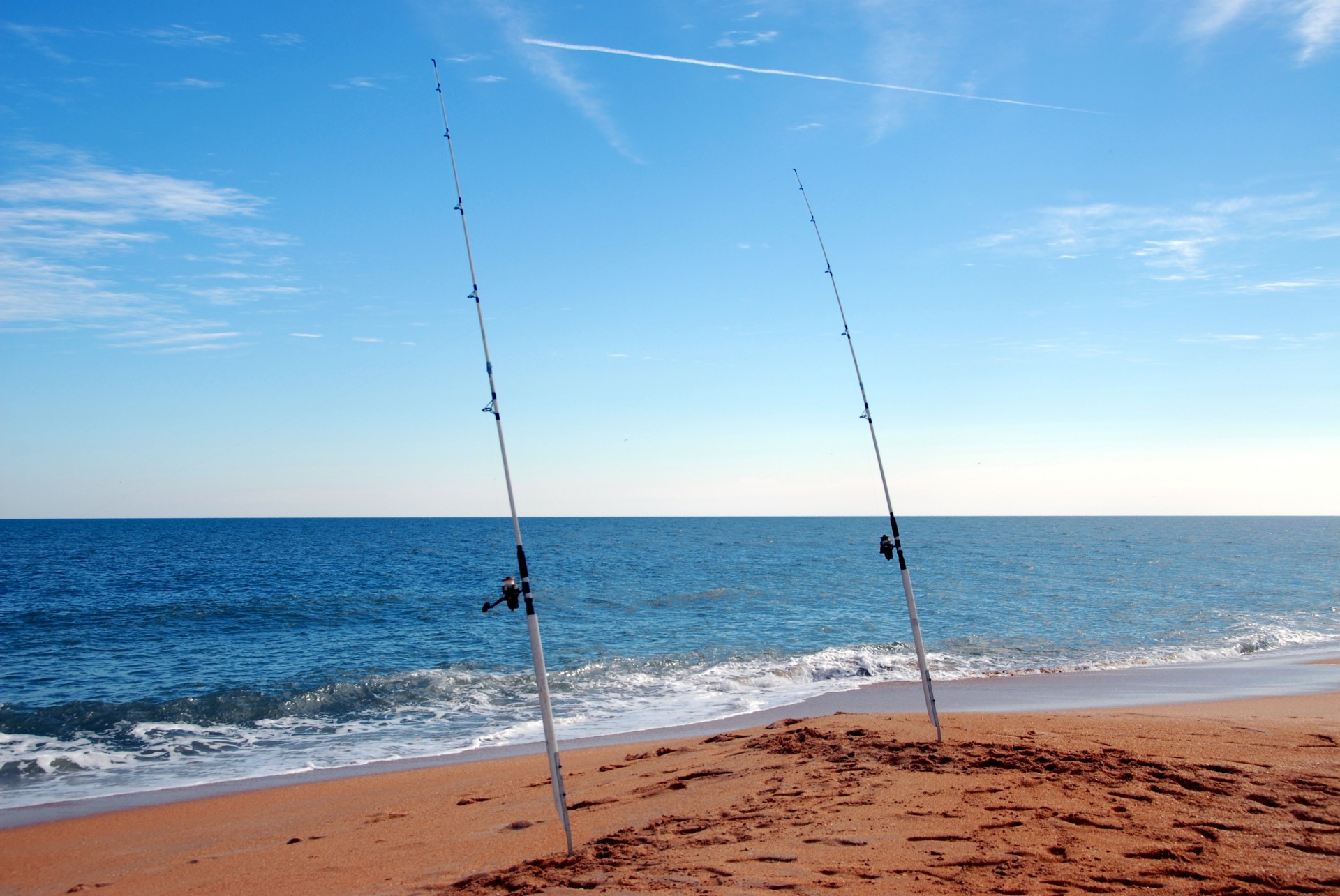 fishing poles tackle beach free photo