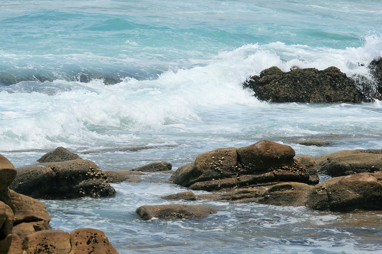 surf on rocks sea ocean free photo