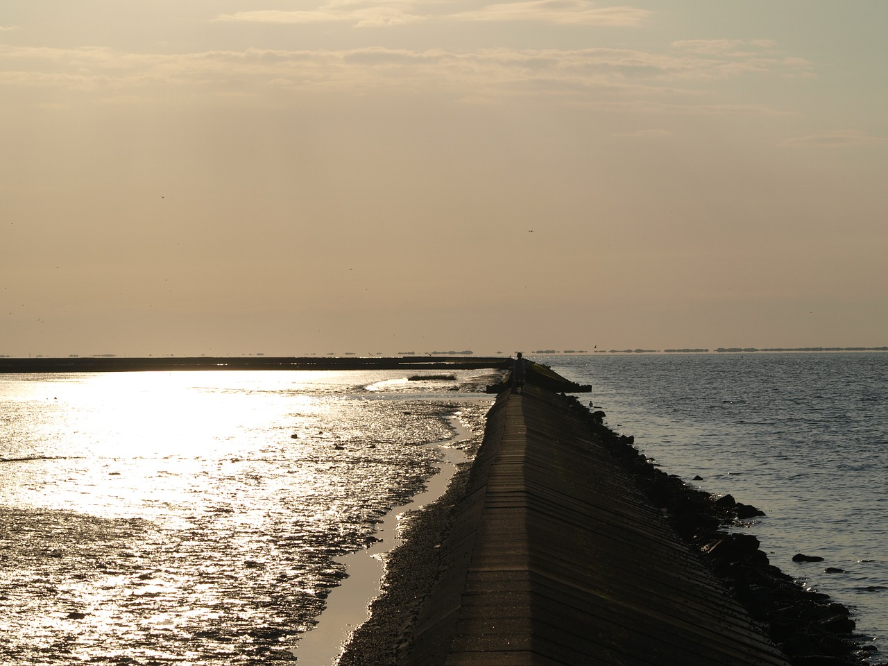 surf wall north sea wadden sea free photo