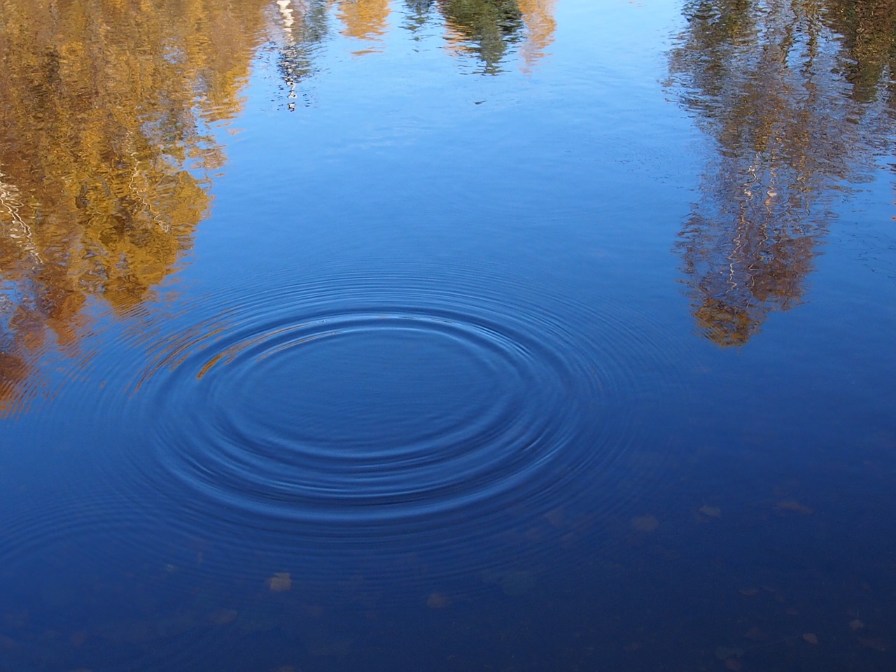 surface water lake free photo