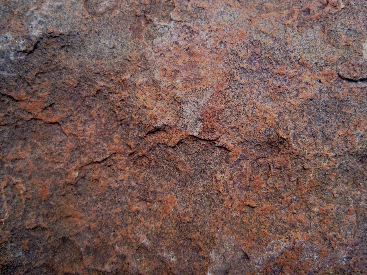 surface brown rusty free photo