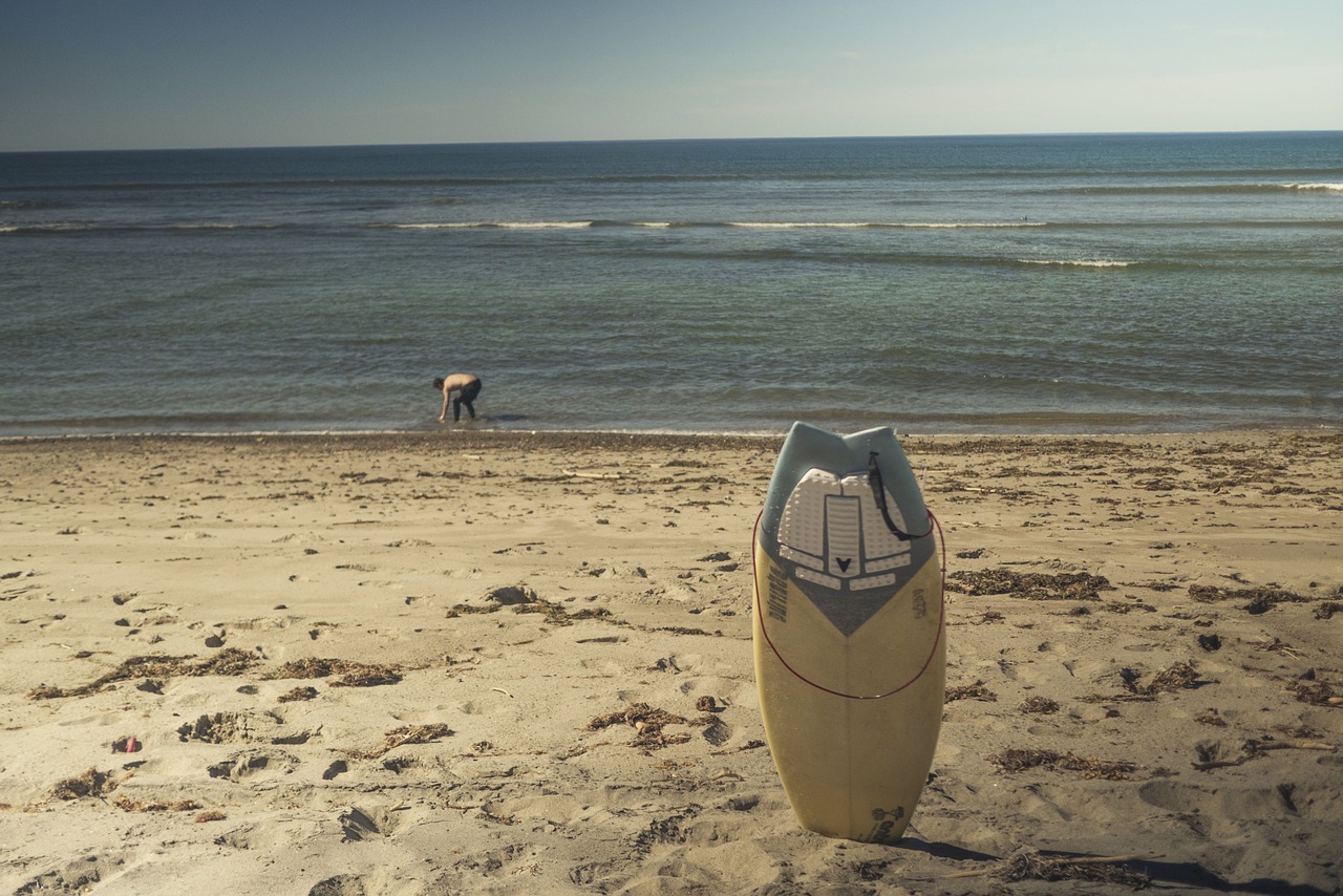 surfboard surfing beach free photo
