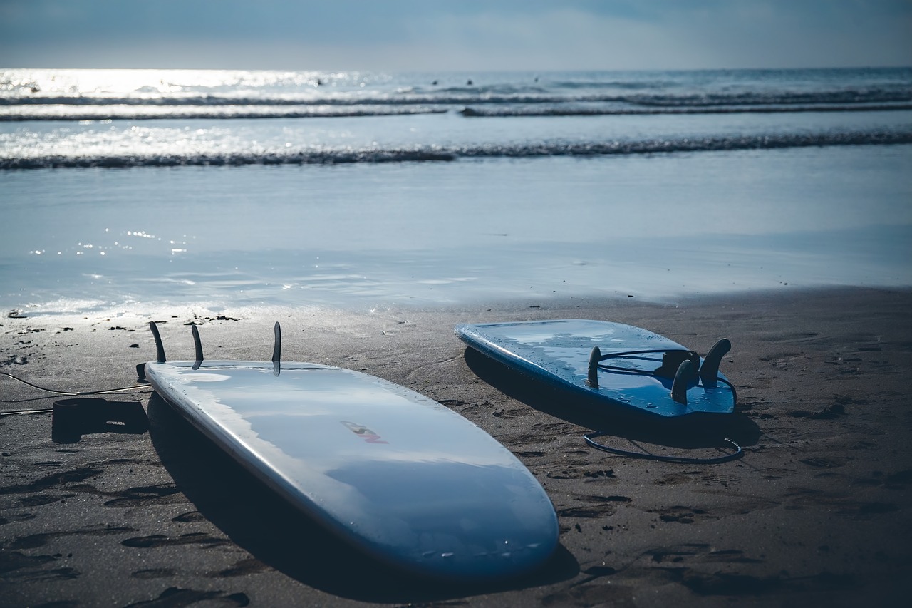 surfboards  surfing  beach free photo