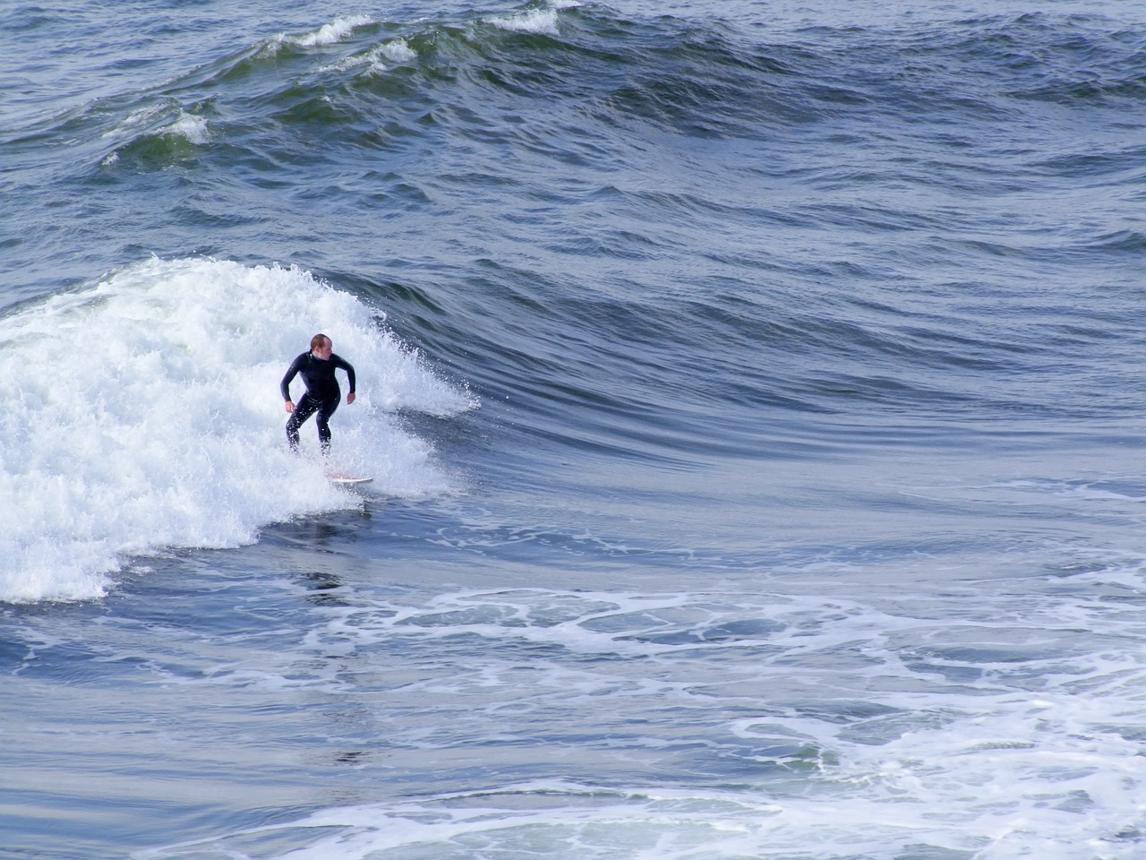 surfer sea surfing free photo