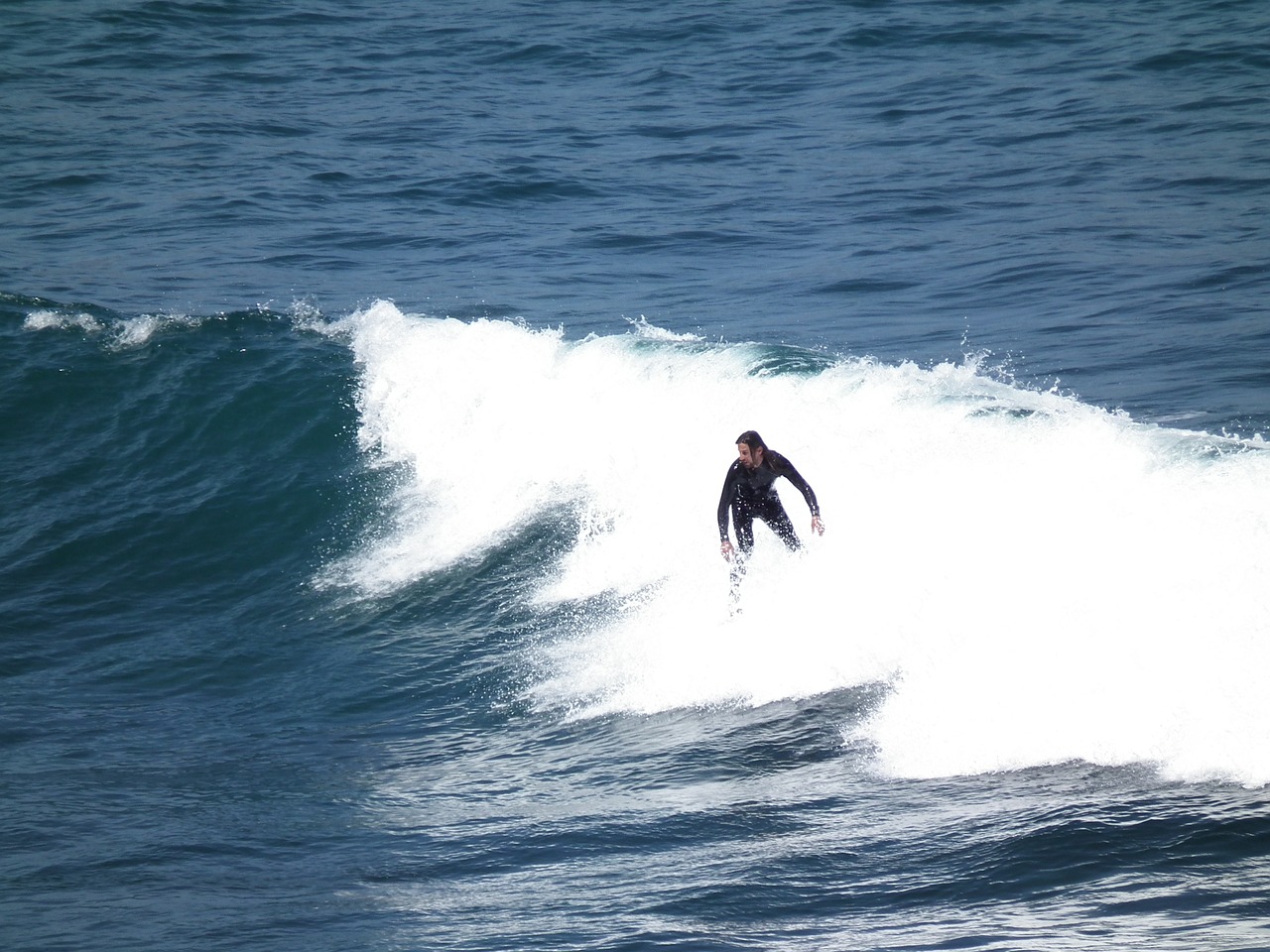 surfer sea sport free photo