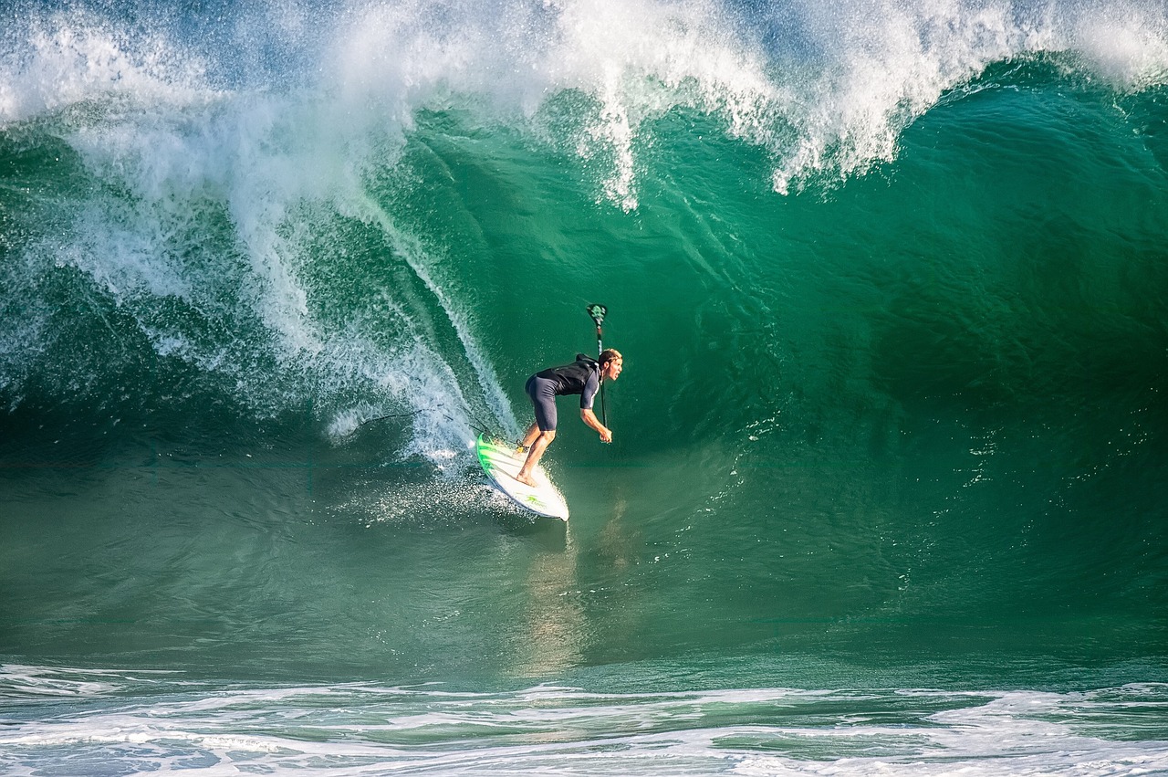 surfer surfboard surfing free photo