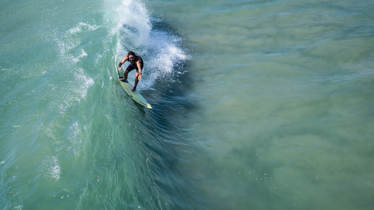 surfer wave ocean free photo