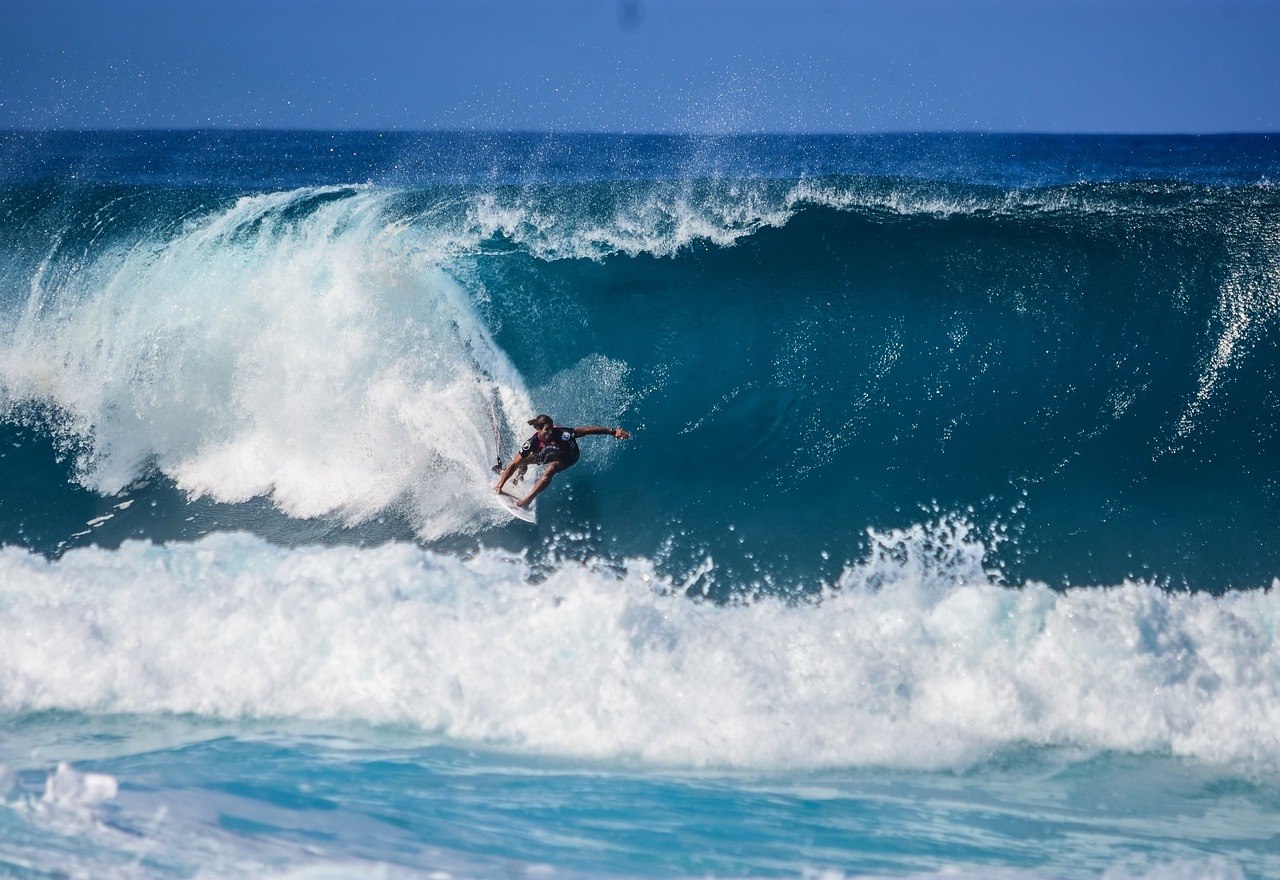 surfer surfing surfboard free photo