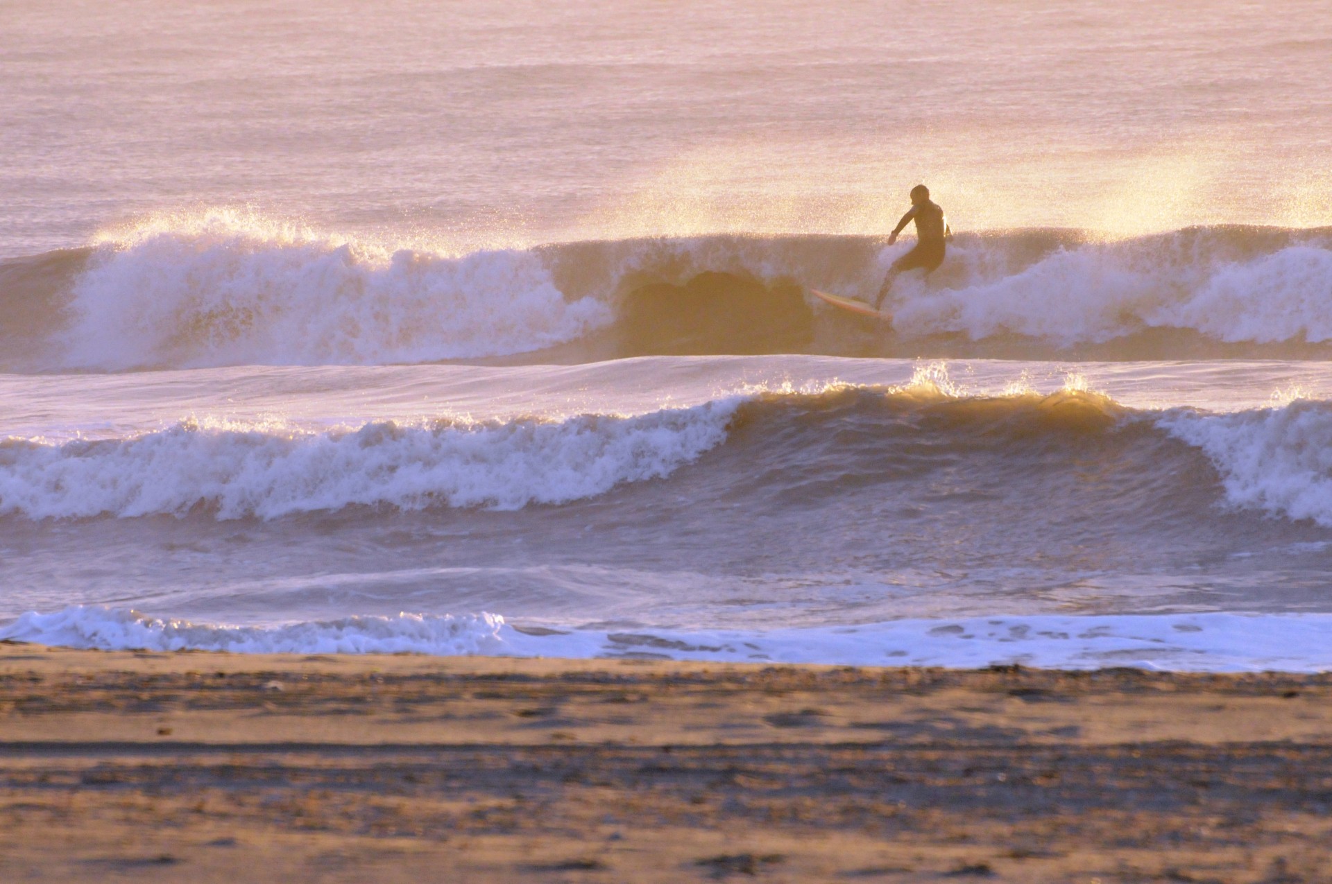 surf surfing ocean free photo