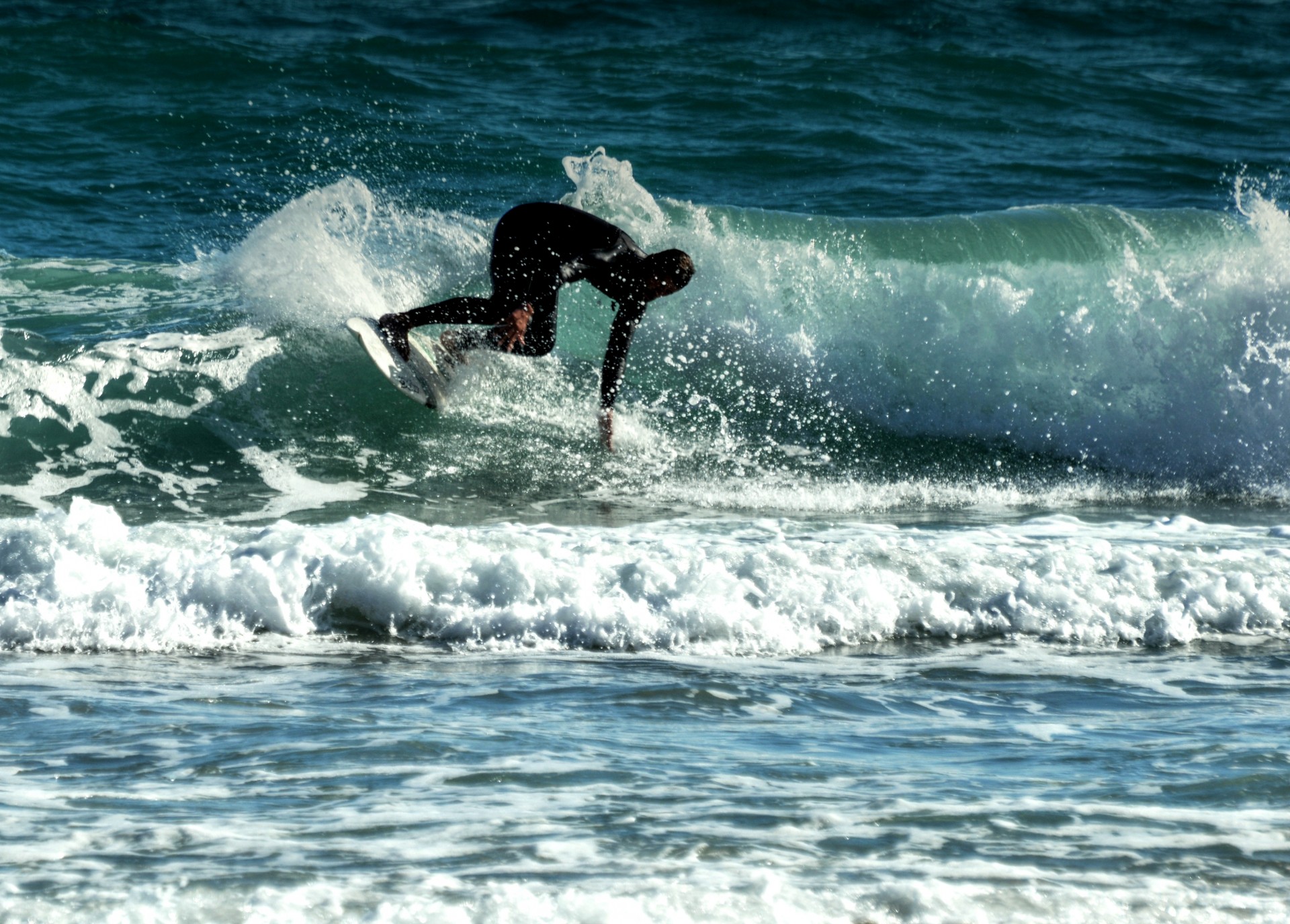 surfer surfing ocean free photo