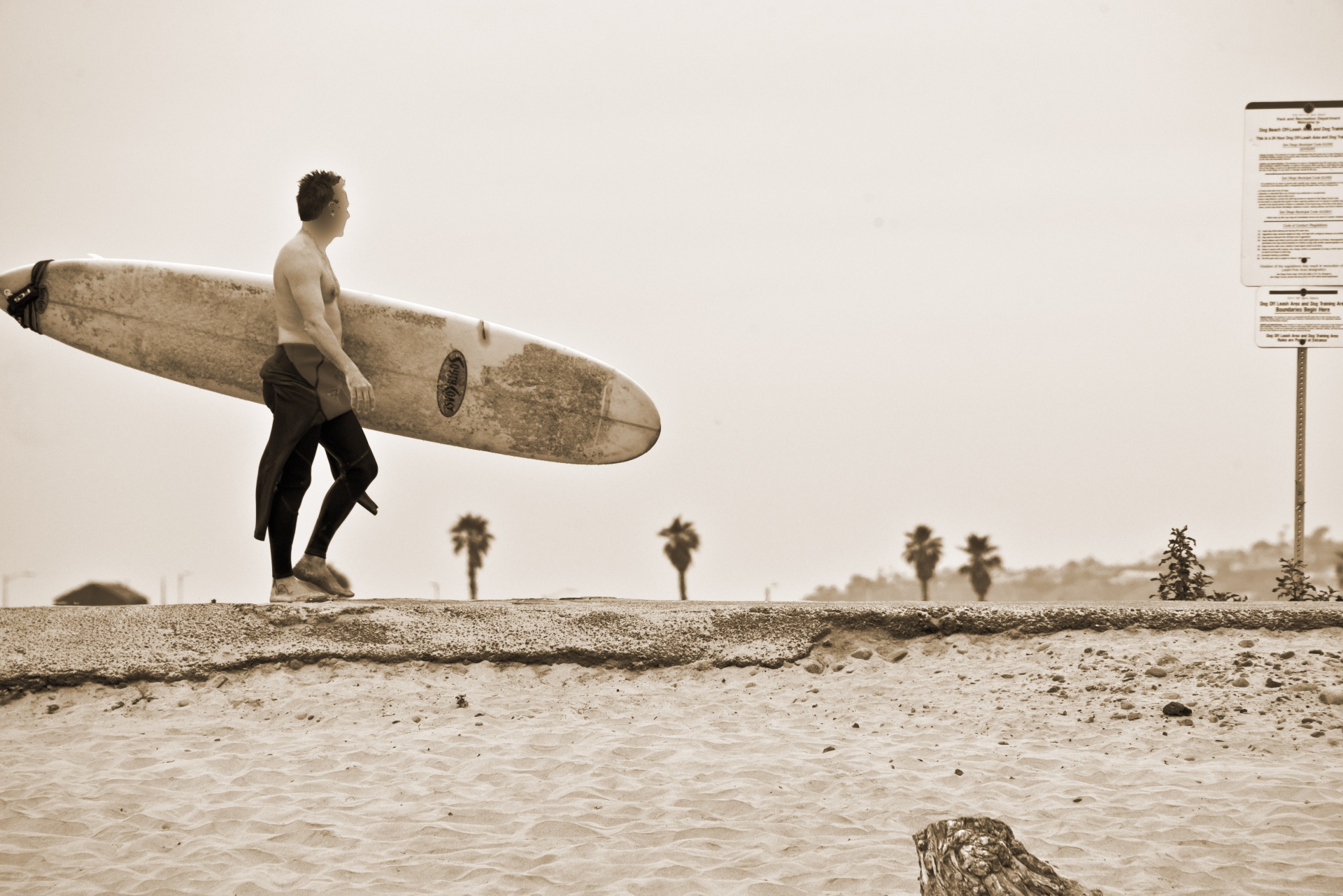 surfer walking surfboard free photo