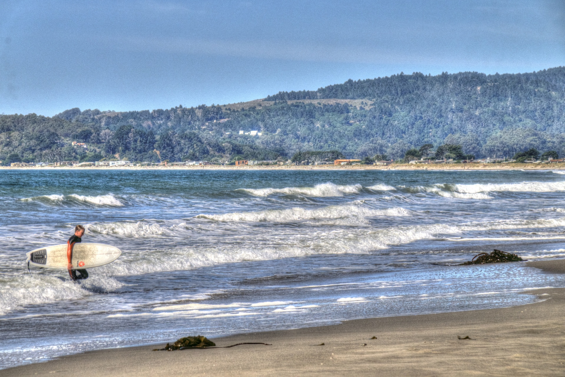 surf surfer sea free photo