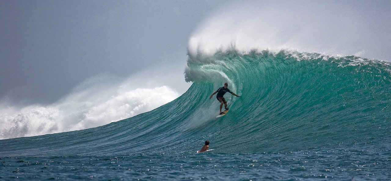 surfer big waves skillfully free photo