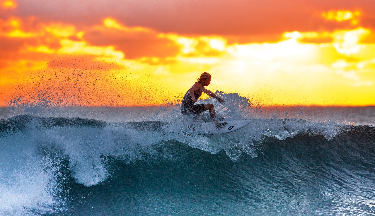 surfer wave sunset free photo