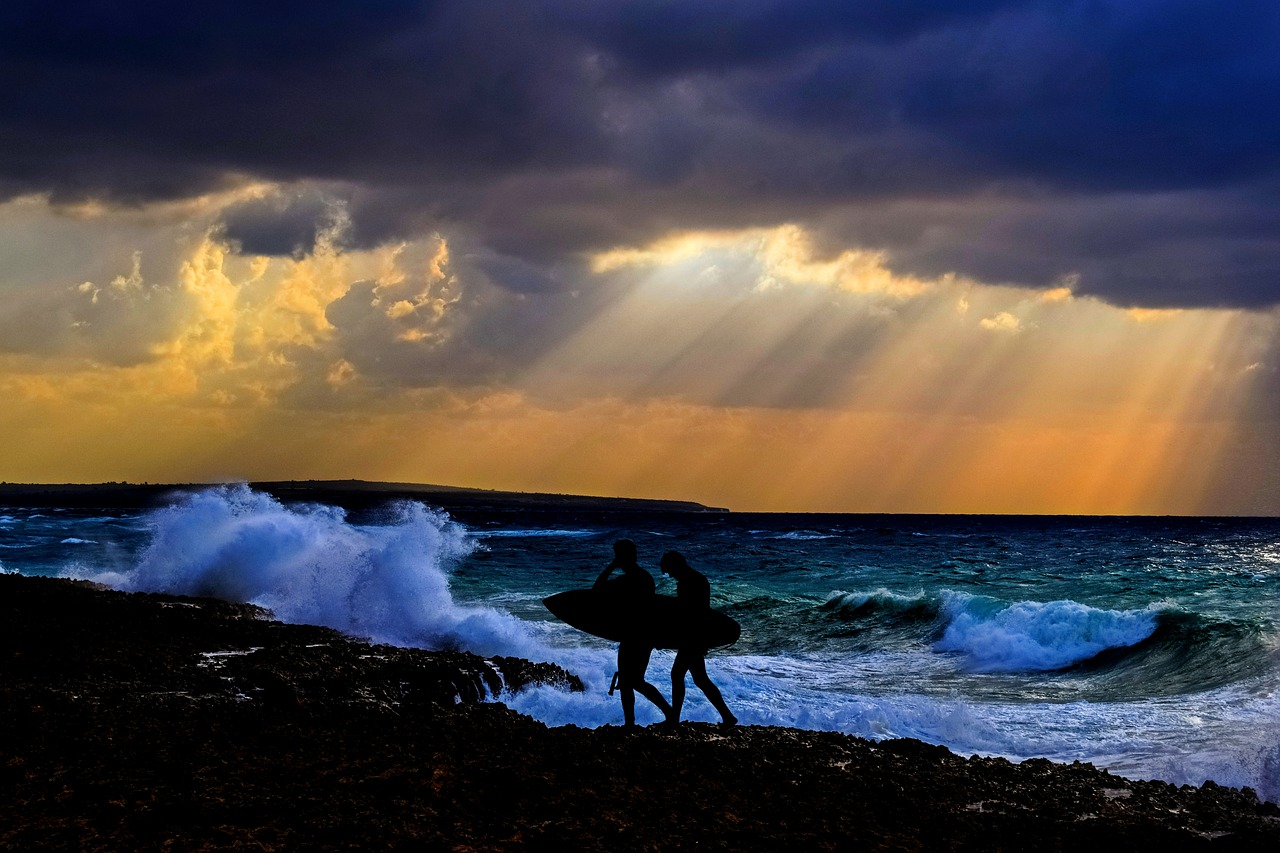 surfer beach wave free photo