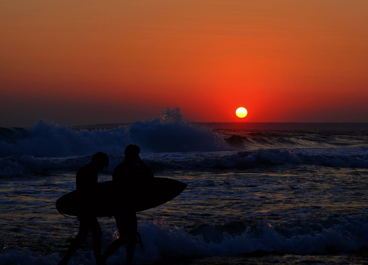 surfer beach wave free photo