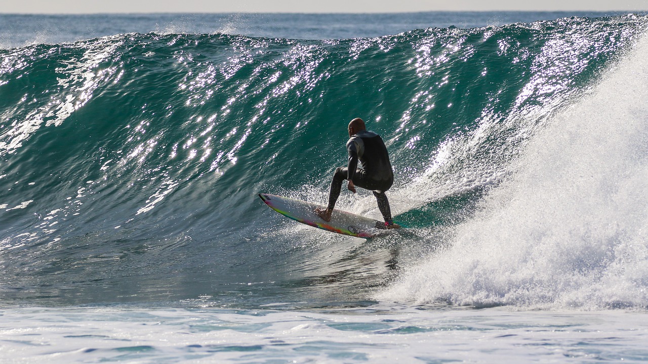 surfer surfing wave free photo