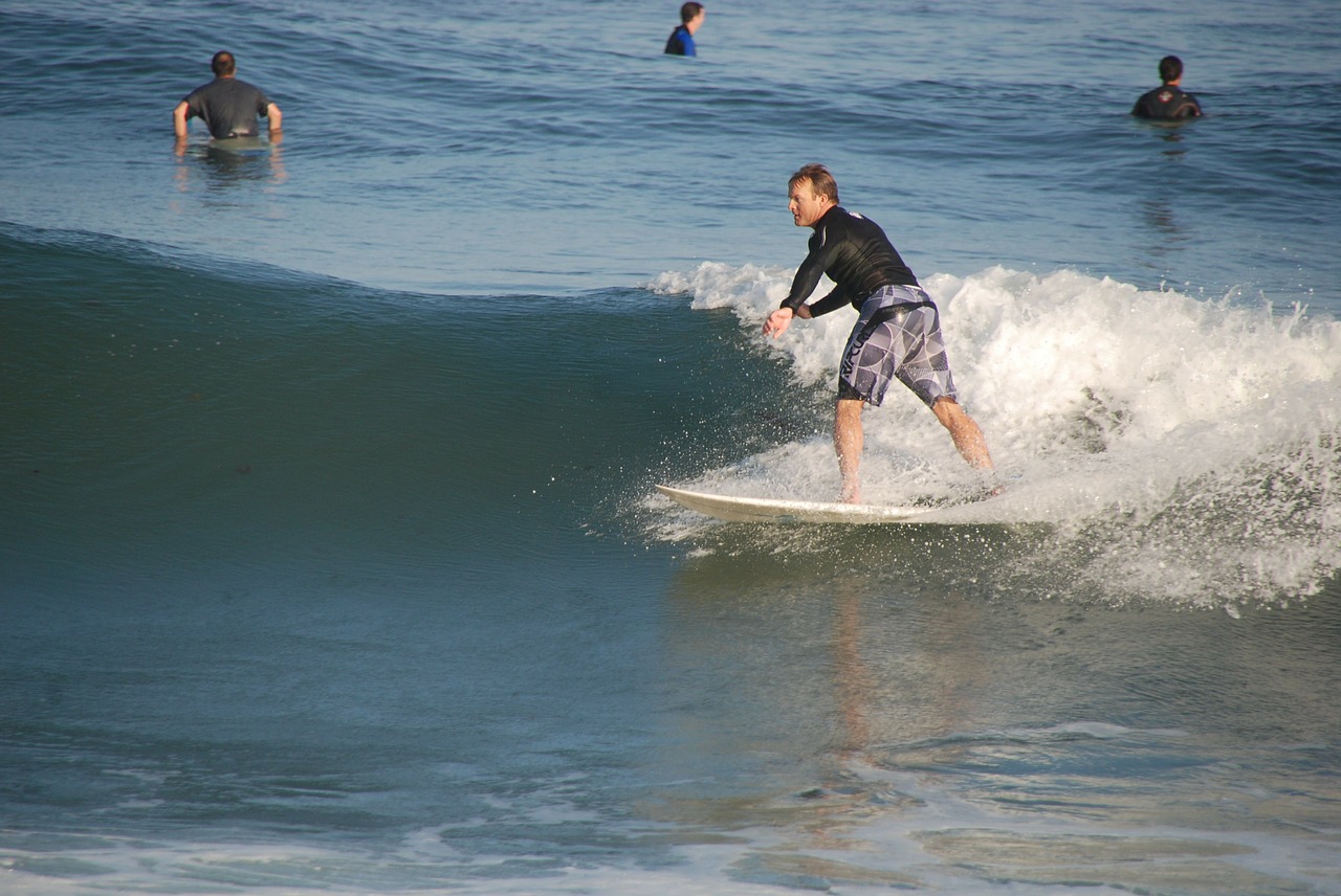 surfer sea wave free photo