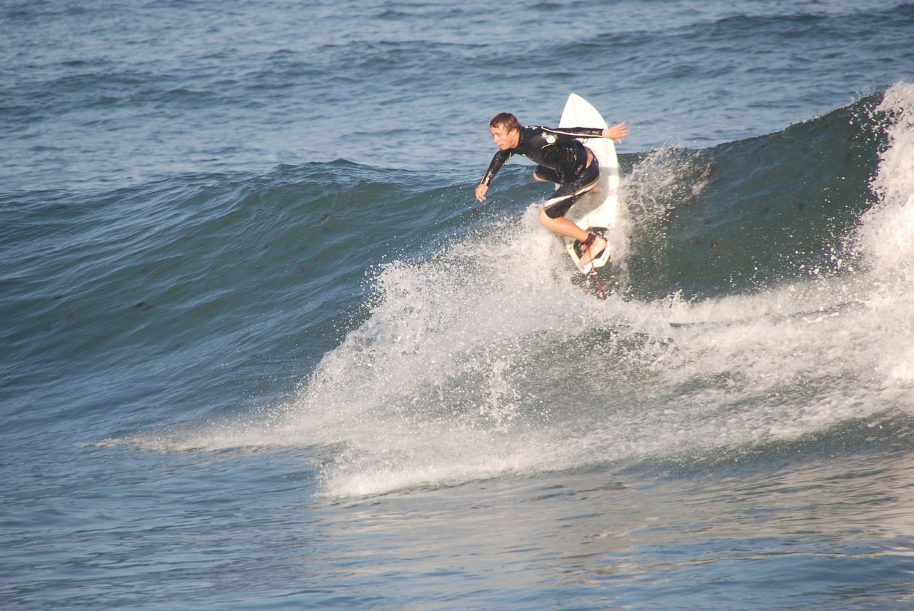surfer sea wave free photo