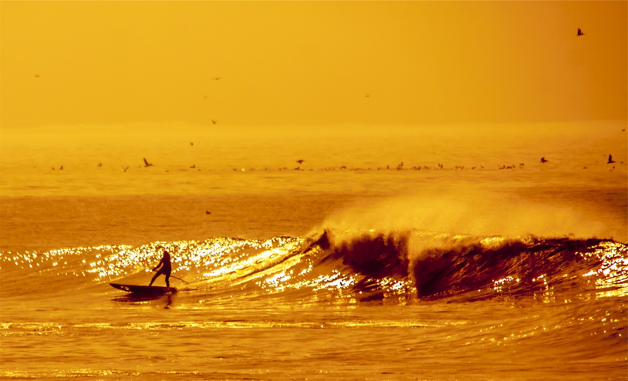 surfer surging waves free photo