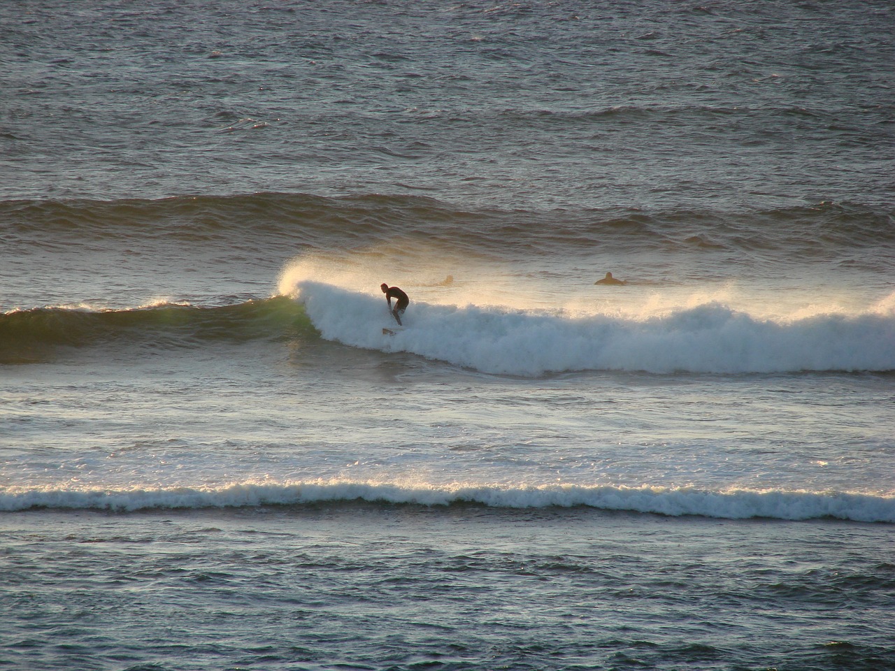 surfer wave sea free photo