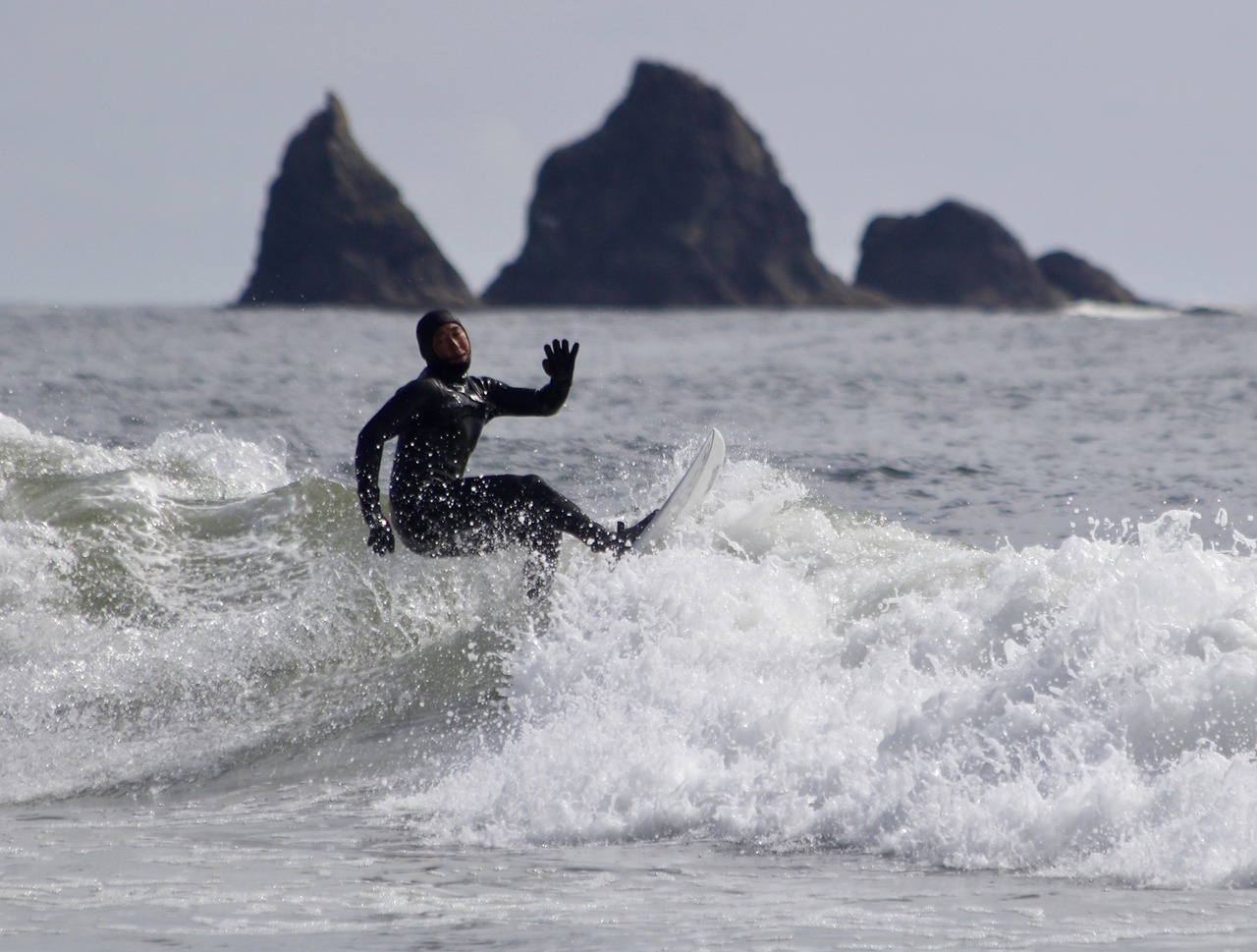 surfer  rocks  beach free photo