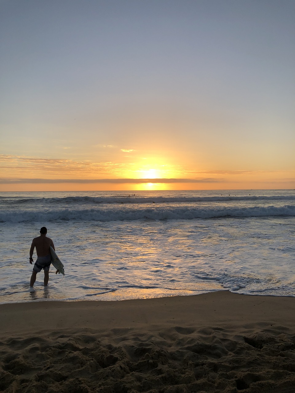 surfer  beach  sunrise free photo