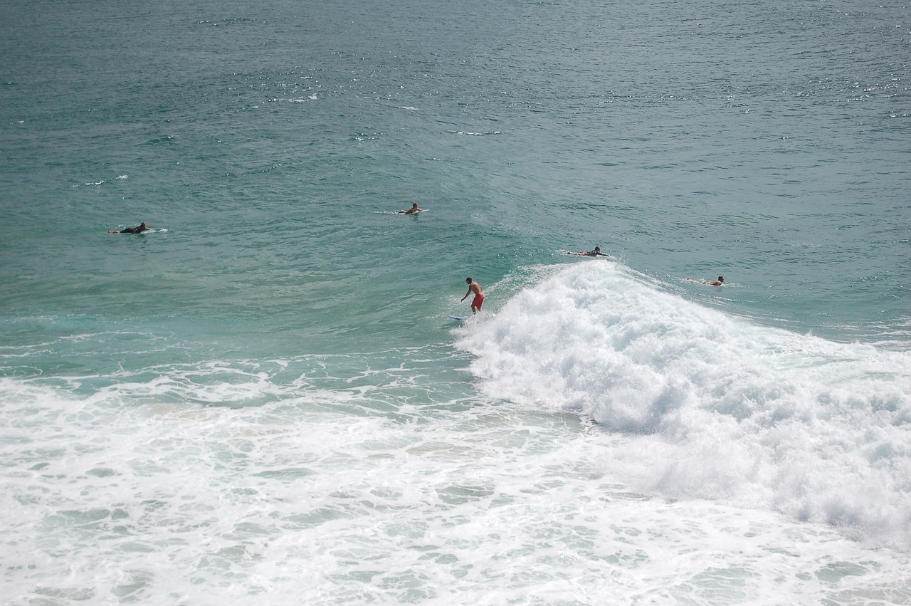 surfer surfing waves free photo