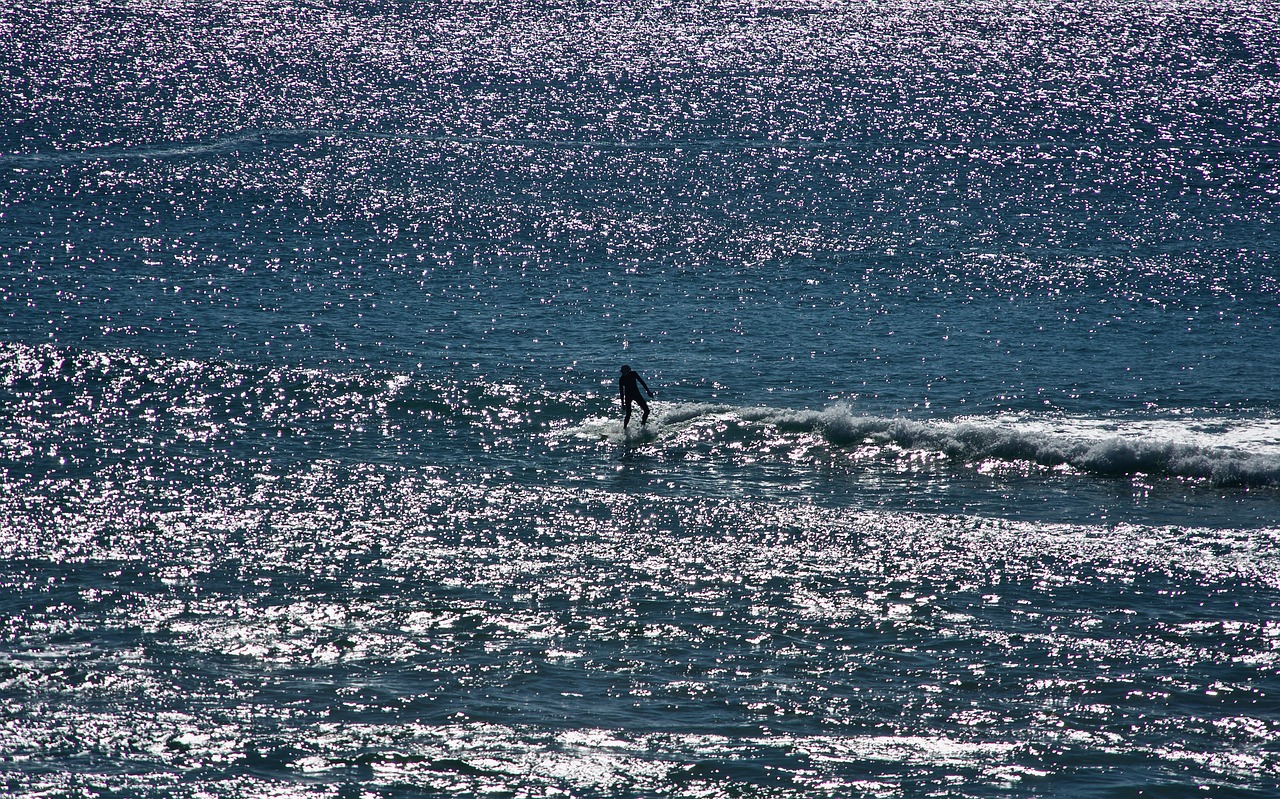 surfer  lone  sea free photo