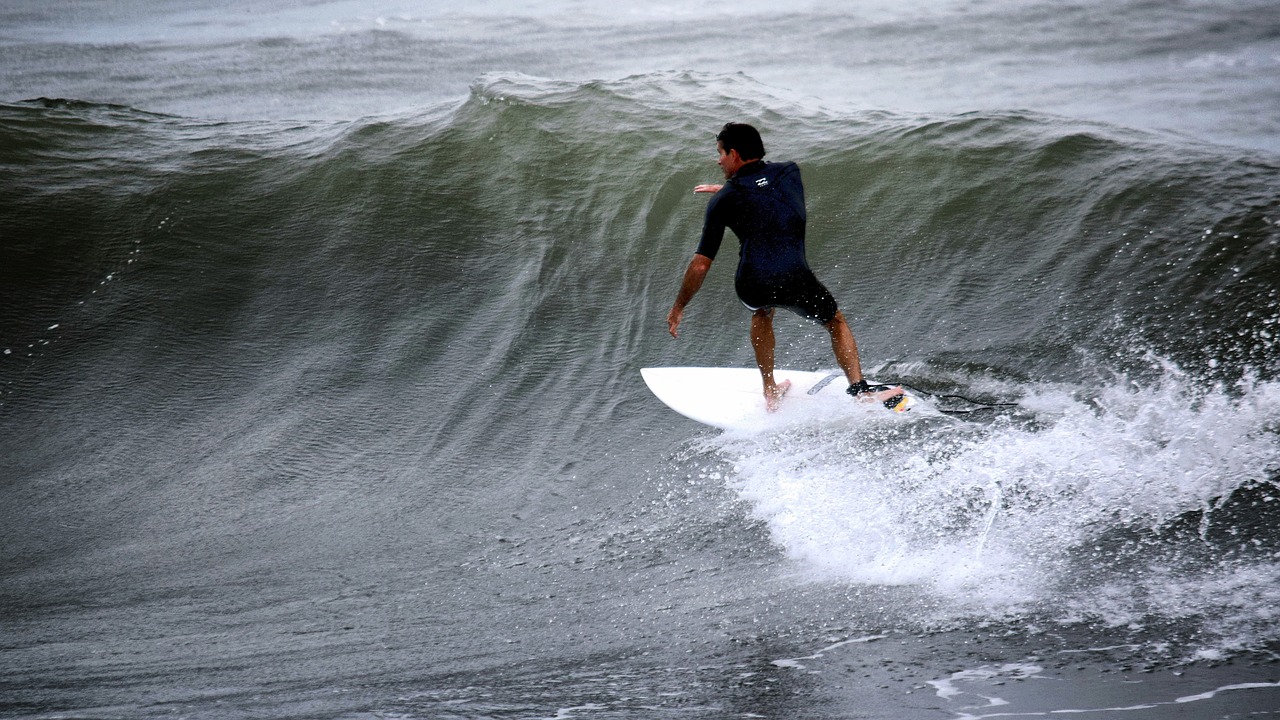 surfer  atlantic  swell free photo