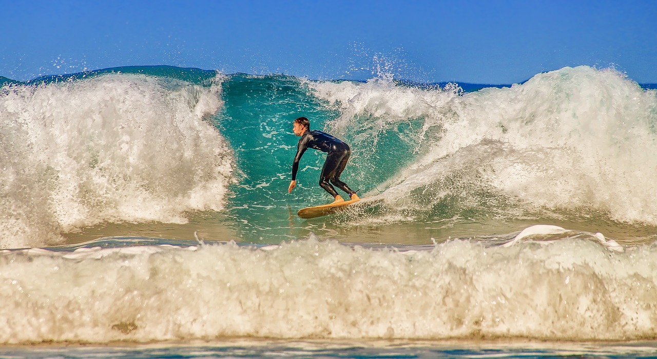 surfer  surfboard  sea free photo