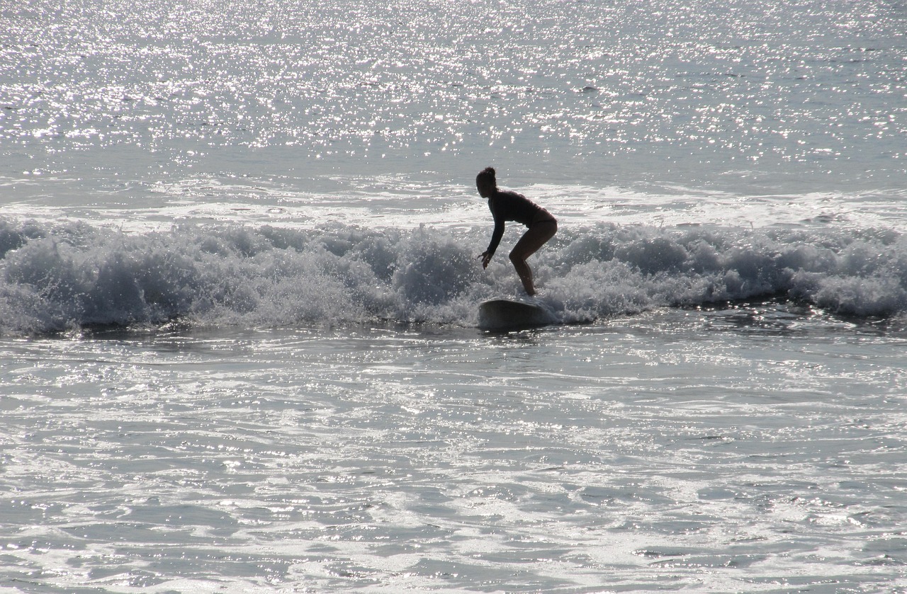 surfer  surfboard  surfing free photo