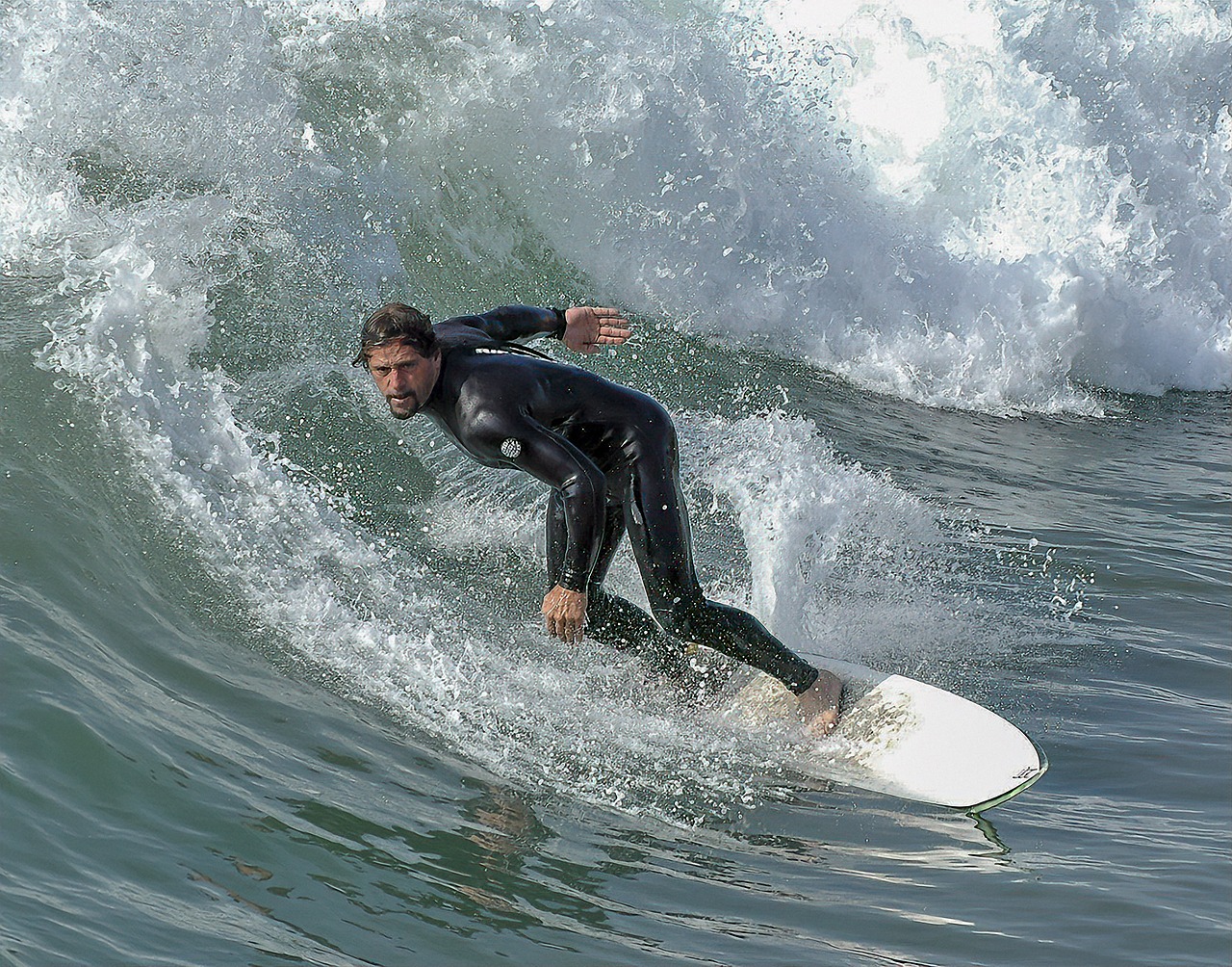 surfer  surfing  surf free photo