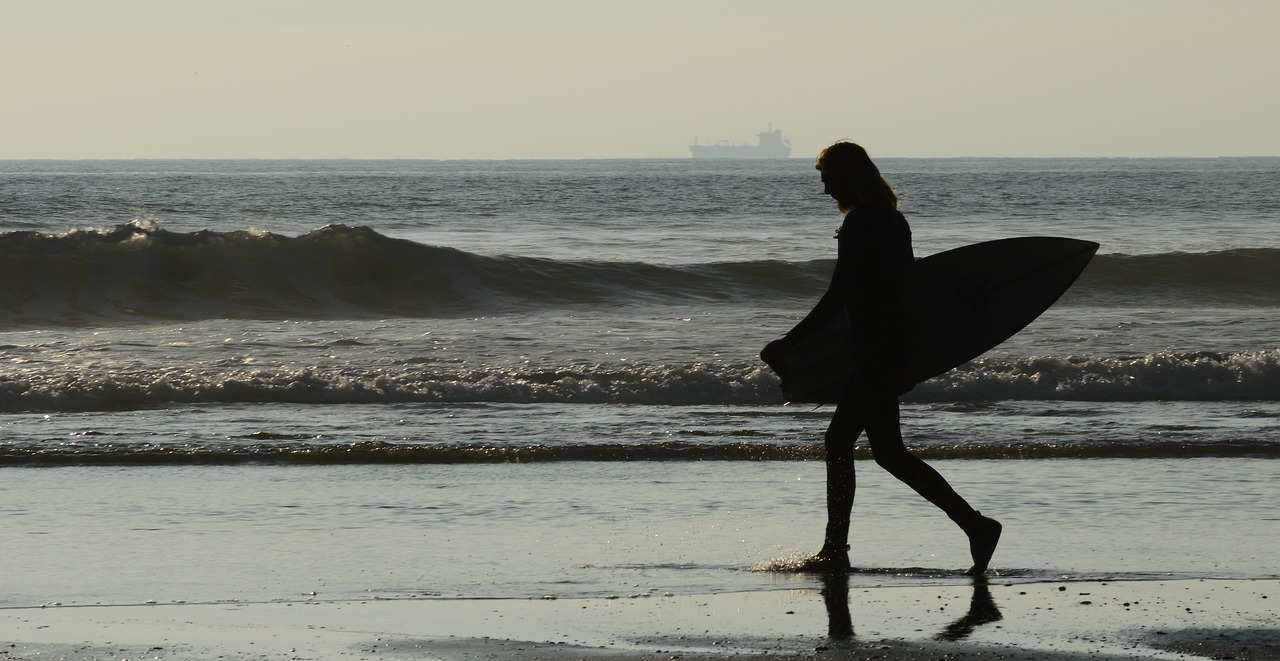 surfer  wetsuit  lone free photo