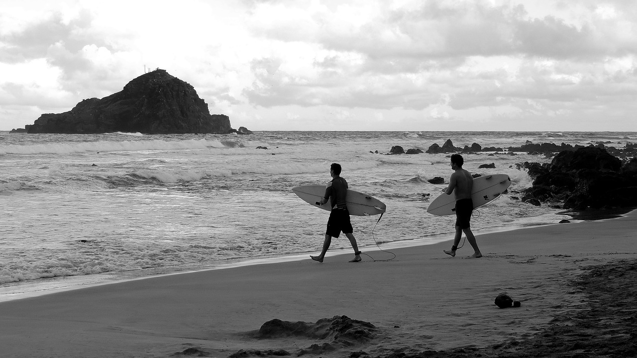 surfer island beach free photo