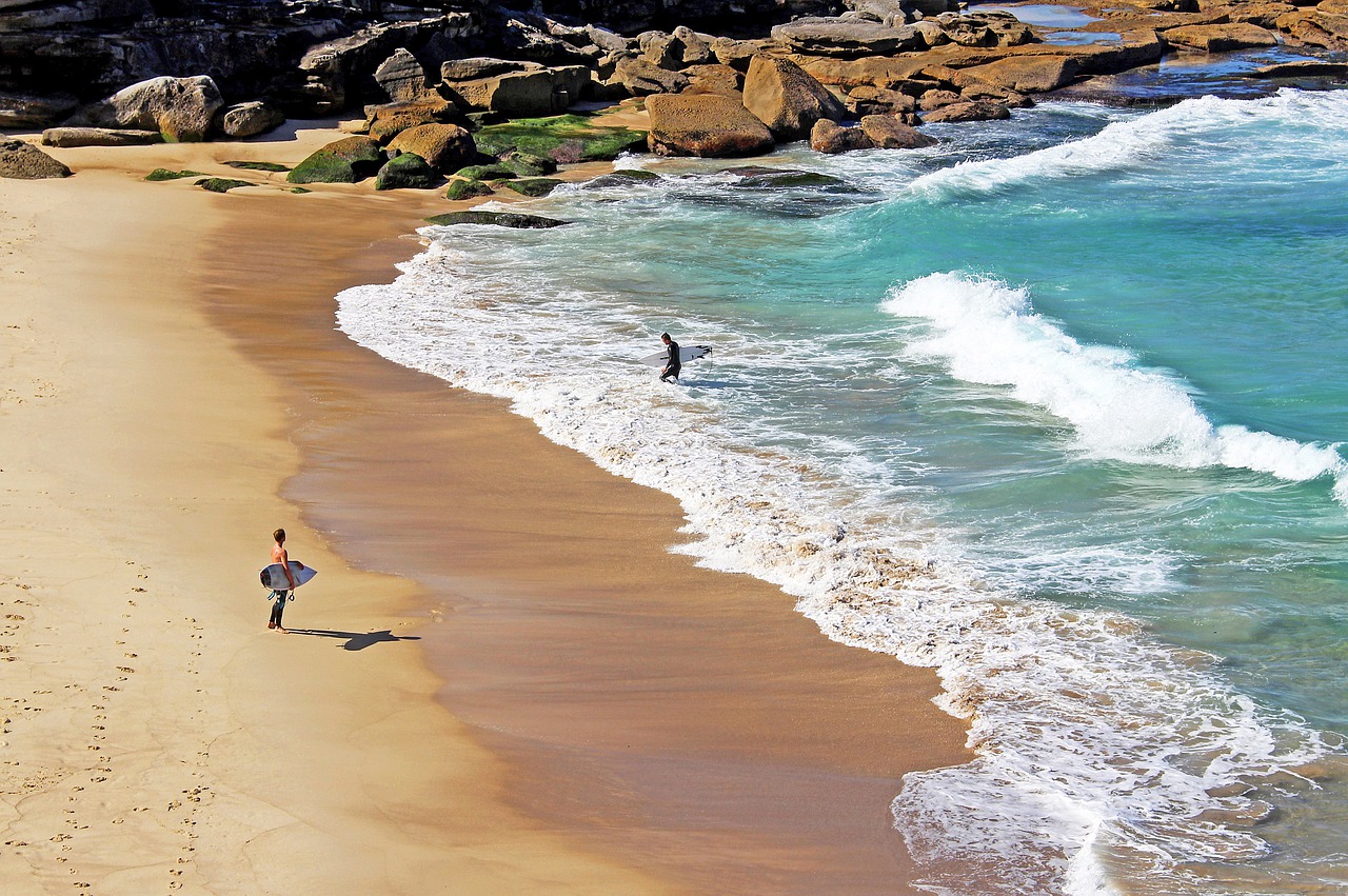 surfer  australia  sydney free photo