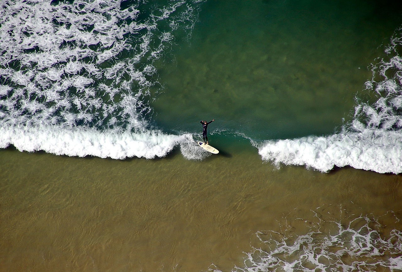 surfer surf beach free photo