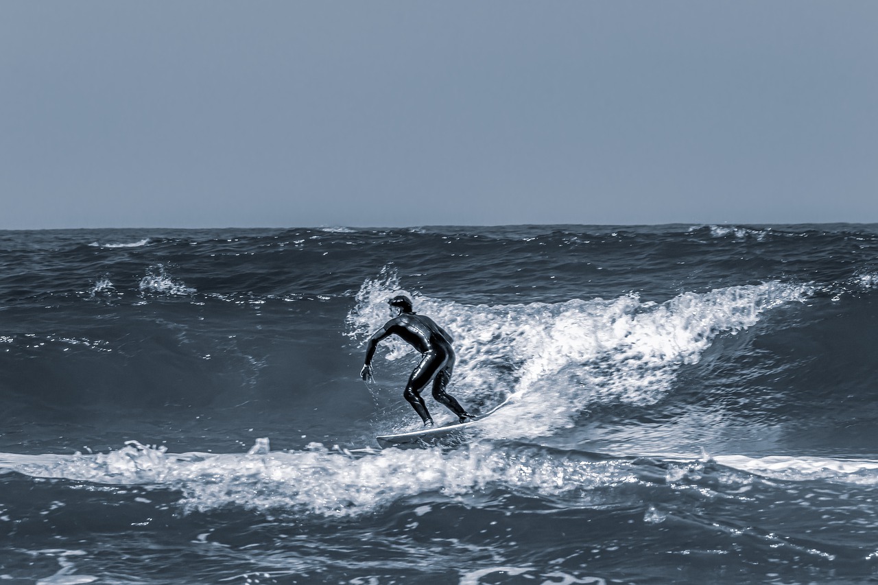 surfer  surfboard  sea free photo