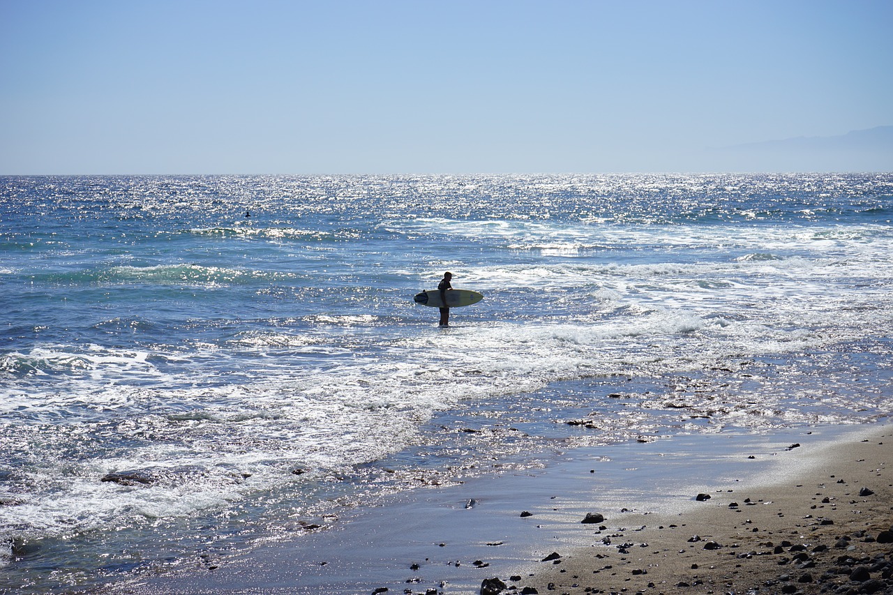 surfer sea ocean free photo