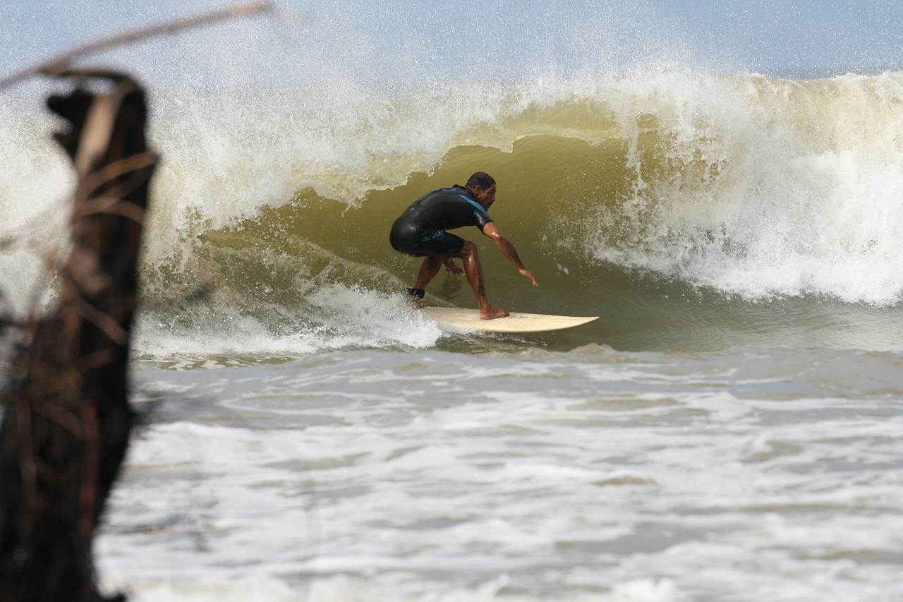 surfer surf golf free photo