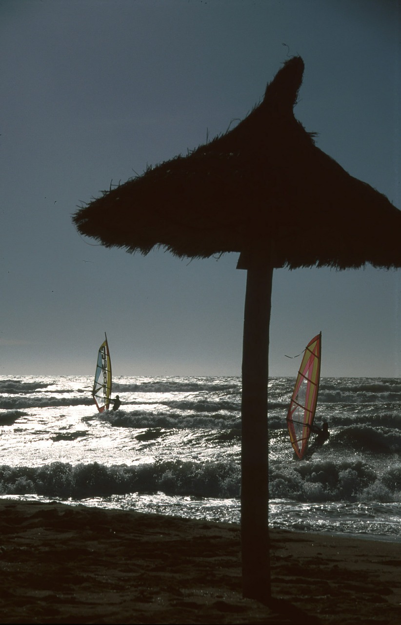 surfer sunset straw screen free photo