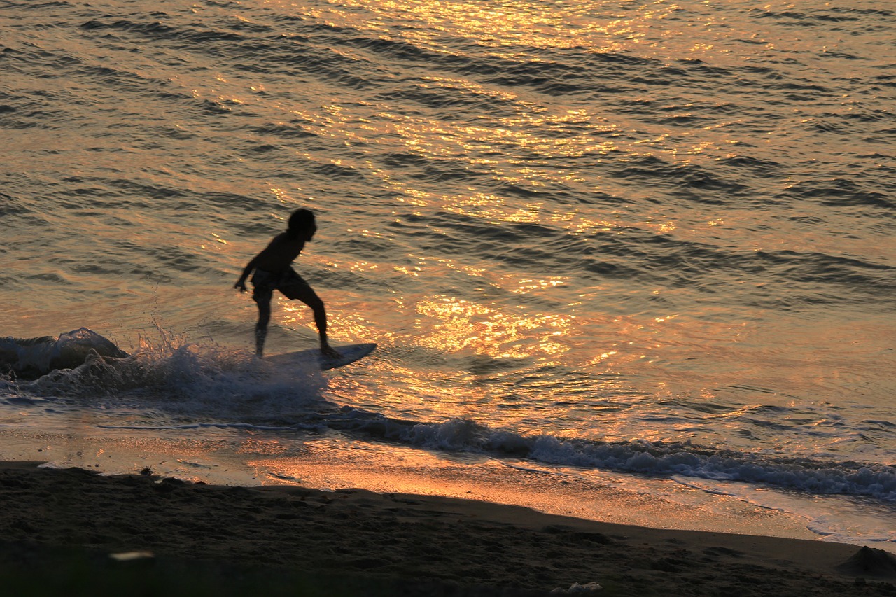 surfer beach wave free photo