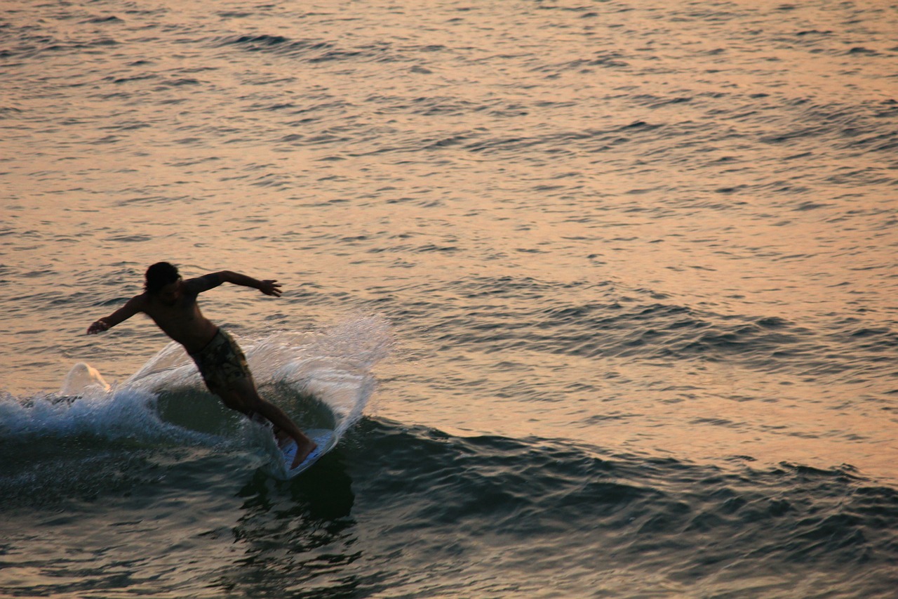 surfer wave beach free photo