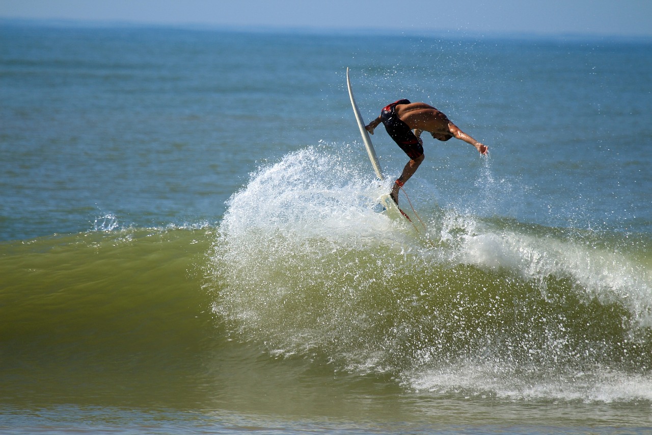 surfer surfing surfboard free photo