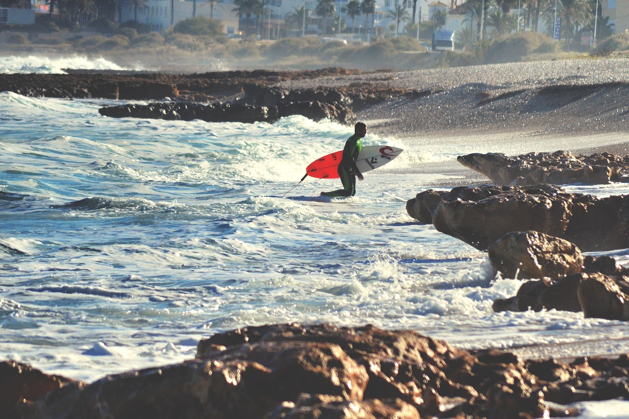 surfer surfboard surfing free photo