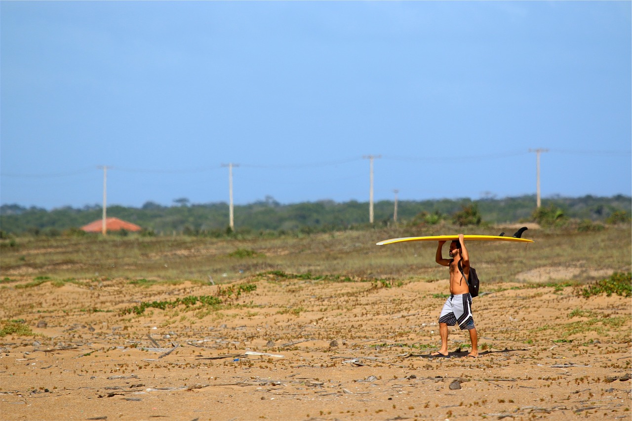 surfer surfboard young free photo