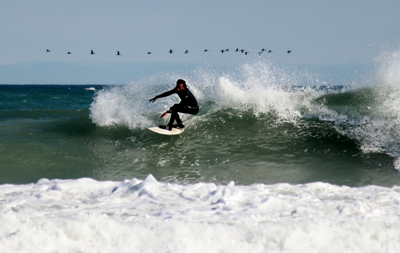 surfer surfboard surf free photo