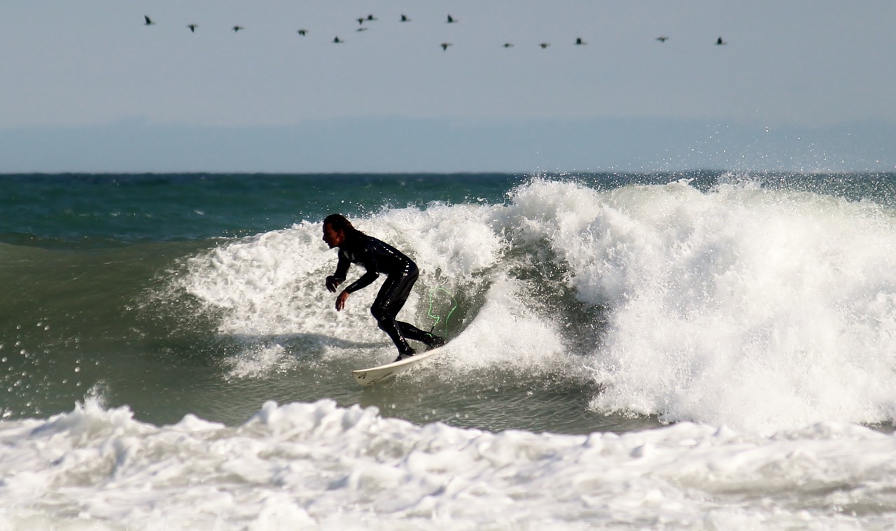 surfer surfboard surf free photo