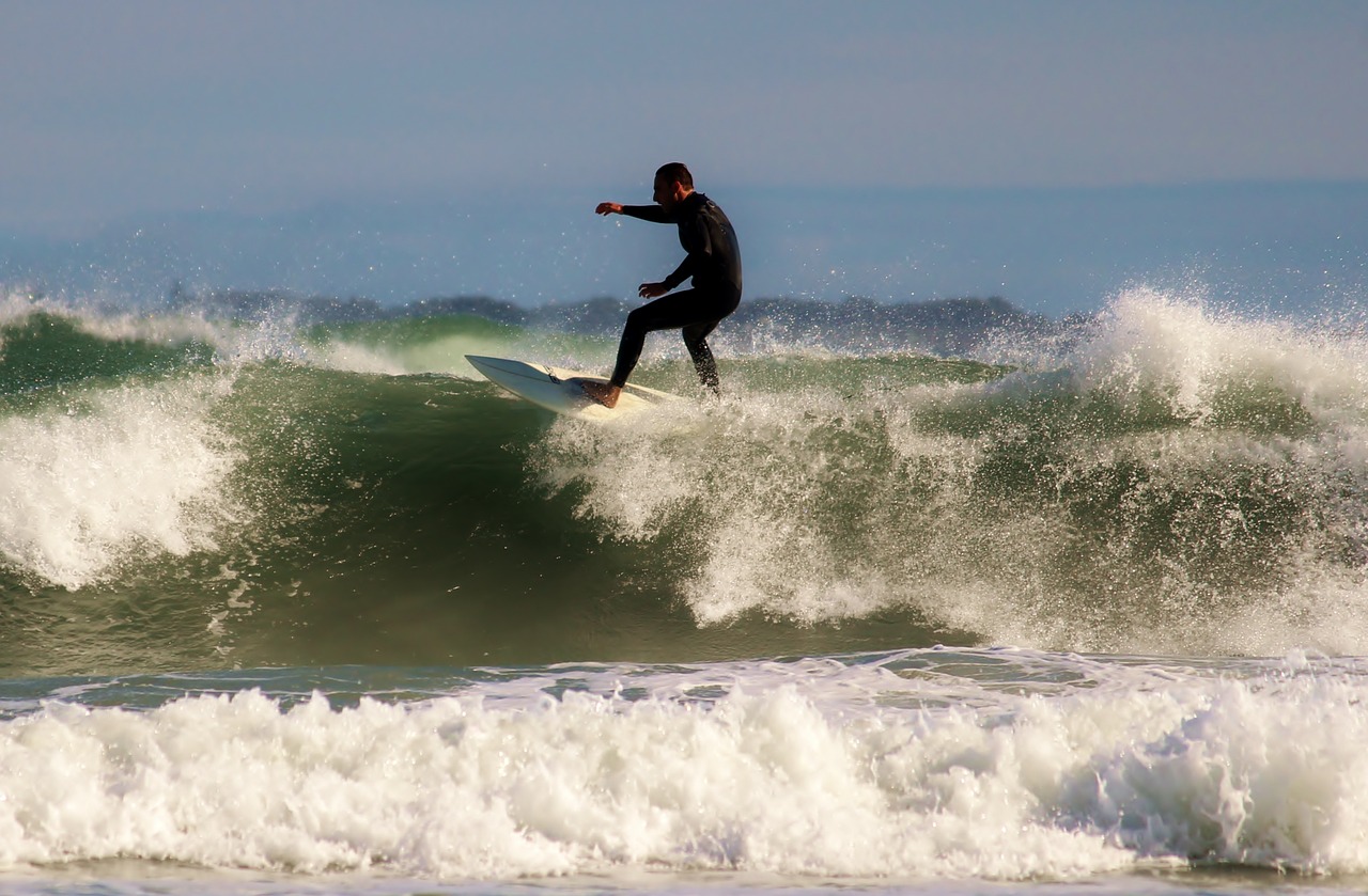 surfer surfboard sea free photo