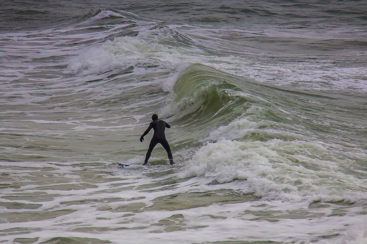 surfer wave ocean free photo